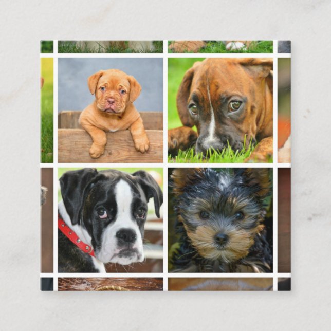 Pet Photography Custom Photo Collage Square Business Card (Front)