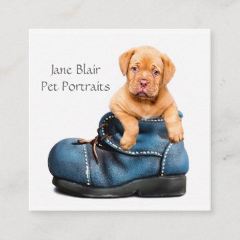 Pet Photography Square Business Card by PersonOfInterest at Zazzle