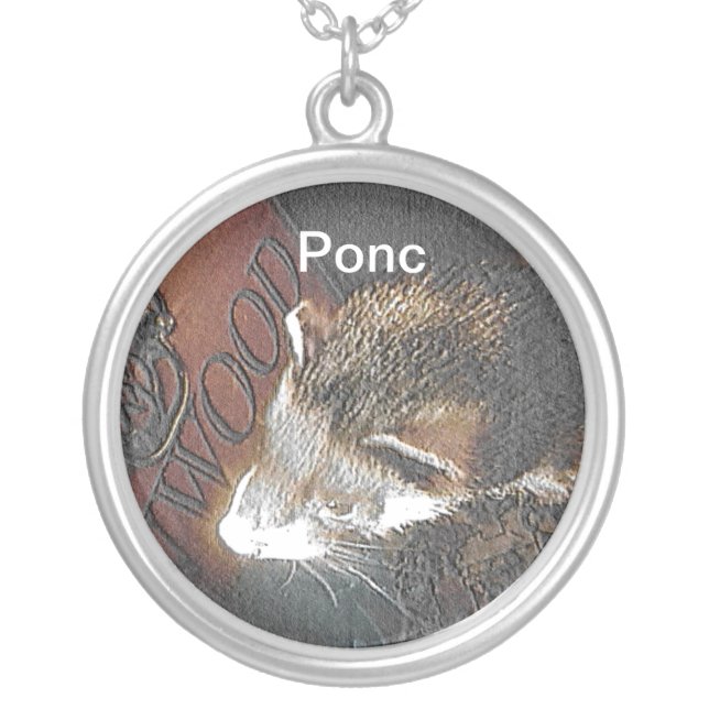 Pet Picture Necklace (Front)