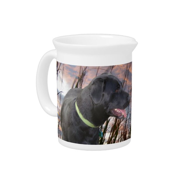 Pet Picture Pitchers! Beverage Pitcher (Left)