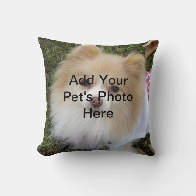 Pet Pillow (Front)