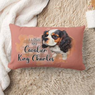 Pet Pillow