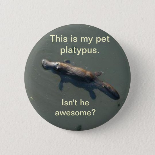 buy a pet platypus