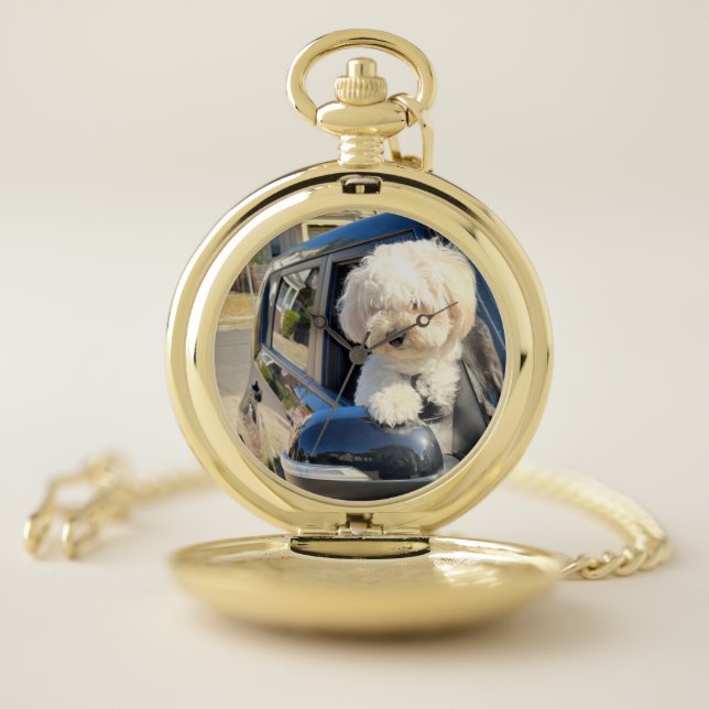 Pet Pocket Watch (Inside)