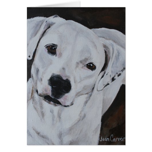 Pet Portrait - American Bulldog Cards (Front)