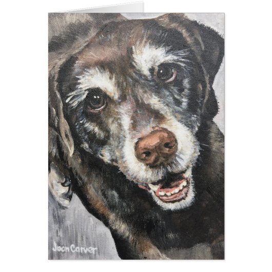 Pet Portrait - Black Lab Cards (Front)