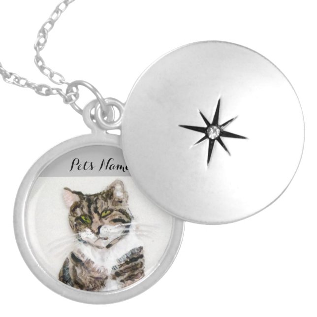 Pet Portrait Cat Painting Memorial Locket Necklace (Front)