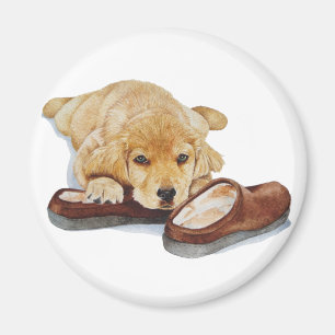 pet portrait painting cute golden retreiver puppy magnet