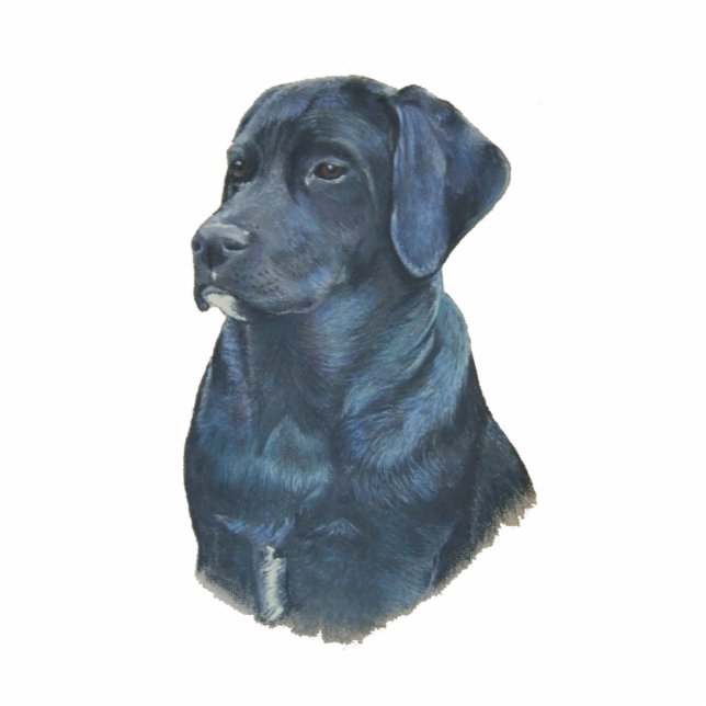 pet portrait painting of black labrador dog cutout (Front)