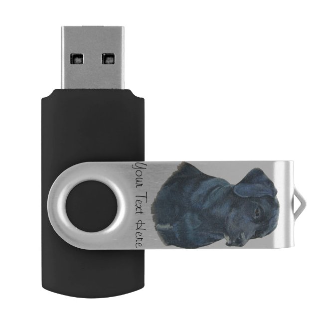 pet portrait painting of black labrador dog USB flash drive (Opened)
