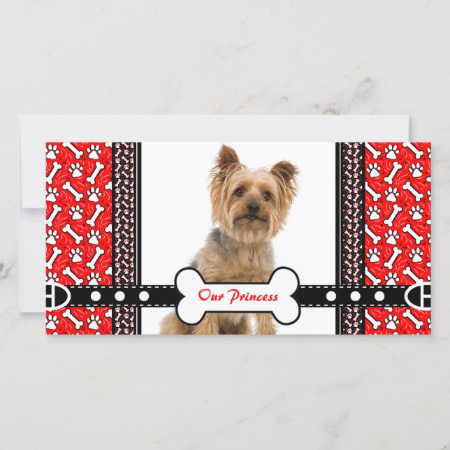 Pet Portrait Photo Card Paw and Bone (Front)