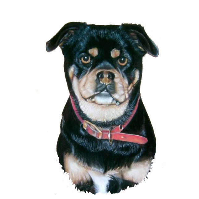 pet portrait picture of black and tan pug dog statuette (Front)
