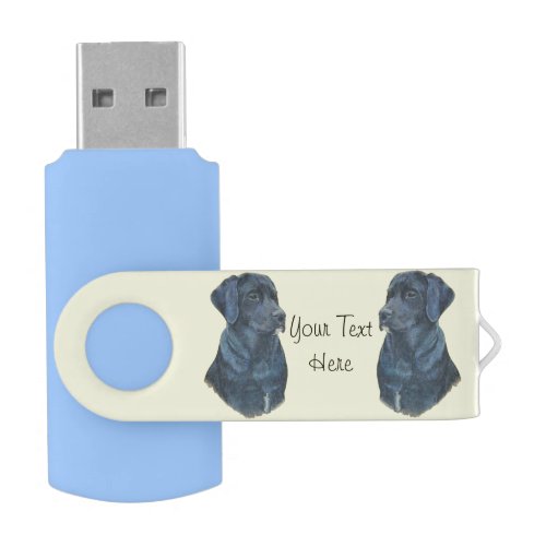 pet portrait picture of black labrador dog flash drive