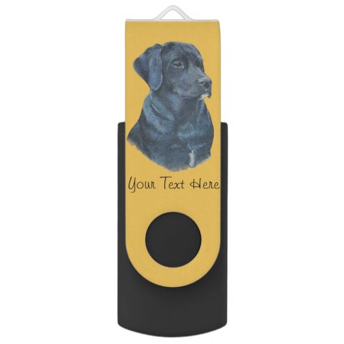 pet portrait picture of black labrador dog flash drive