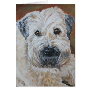 Pet Portrait - Soft-Coated Wheaten Terrier Cards
