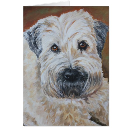 Pet Portrait - Soft-Coated Wheaten Terrier Cards (Front)