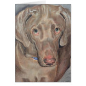 Pet Portrait - Weimaraner (Front)