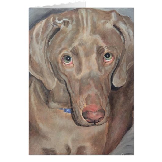 Pet Portrait - Weimaraner Cards (Front)