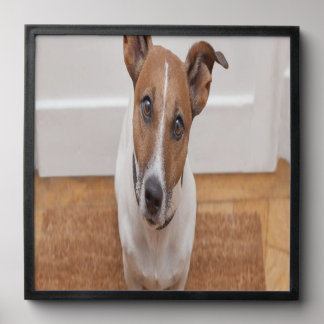 Pet portraits peel and stick photo tile