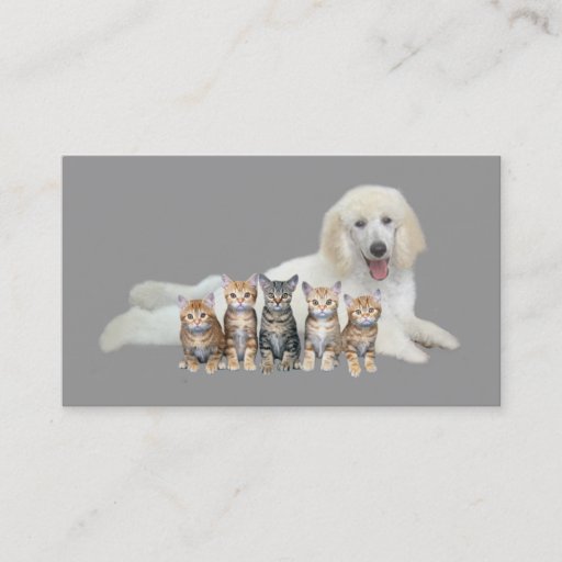 Customizable Pet Products &amp; Services Business Card