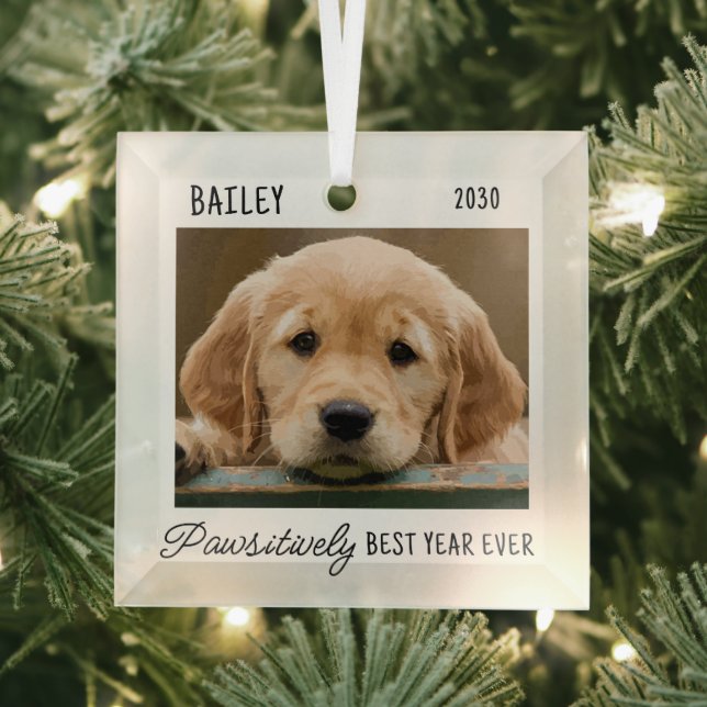 Pet Puppy Dog Custom Photo Year In Review Glass Ornament (Insitu)