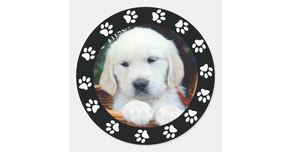 Pet Puppy Dog Paw Print Border Frame Sticker Label | Zazzle.com