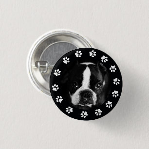 Pet Puppy Dog Photo Paws Frame Round Brooch Button