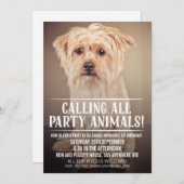 PET PUPPY DOG'S PARTY PHOTO INVITE (Front/Back)