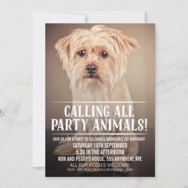 PET PUPPY DOG'S PARTY PHOTO INVITE (Front)