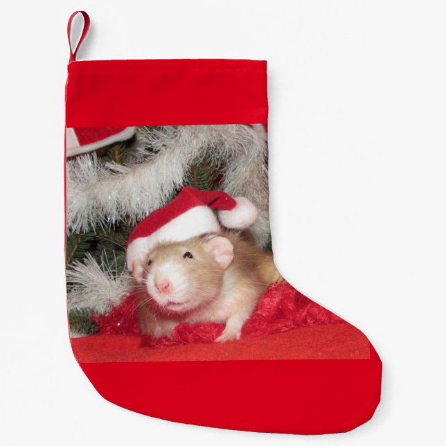 Pet Rat, Birch, Christmas Stocking (Front)