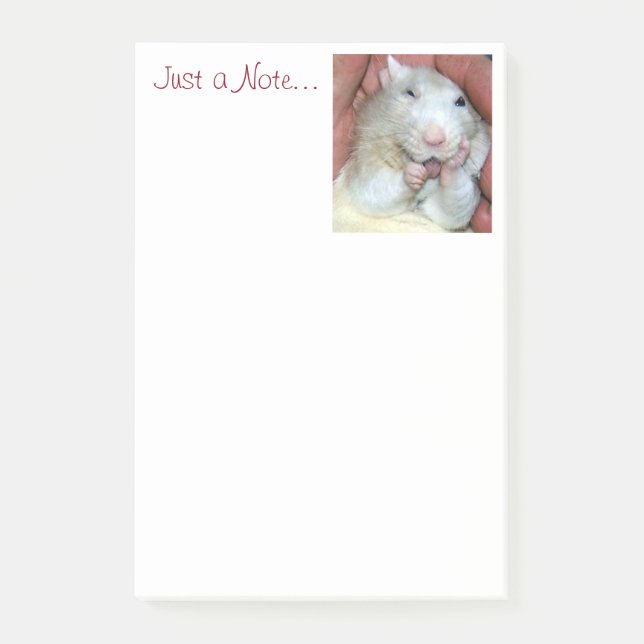 Pet Rat Bridget Post It Notes (Front)