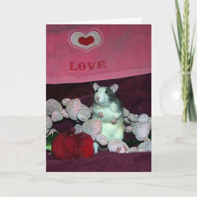 Pet rat, Darcy, Valentine's Day card (Front)