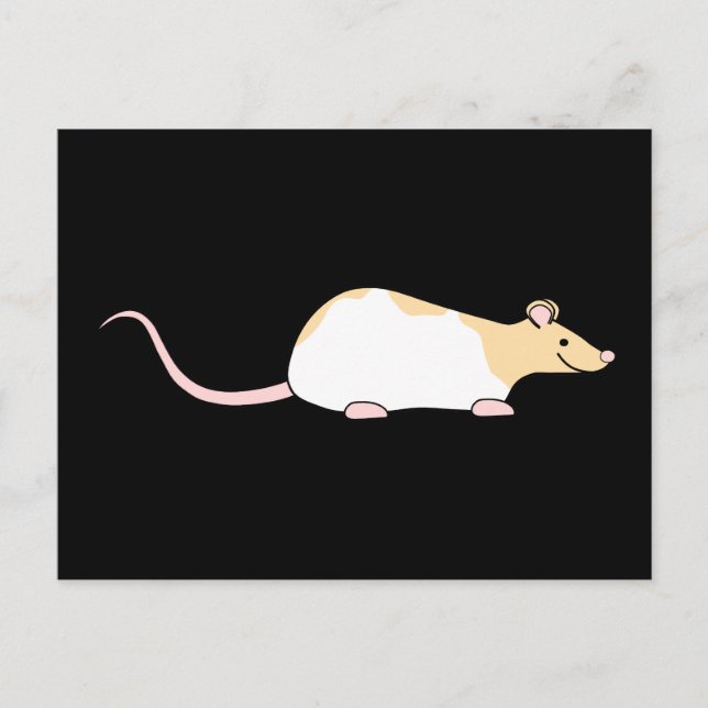Pet Rat. Fawn and White Hooded Variegated. Postcard (Front)