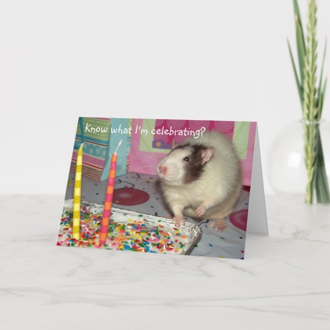 Pet Rat Ollie Birthday Card (Front)