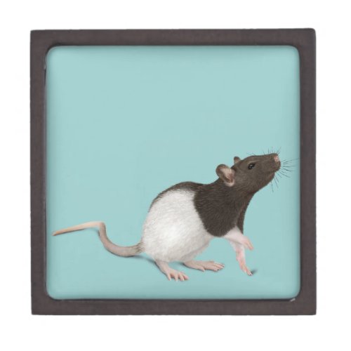 Pet Rat Painting Gift Box