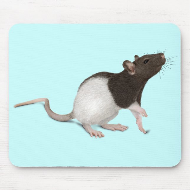 Pet Rat Painting Mouse Pad (Front)