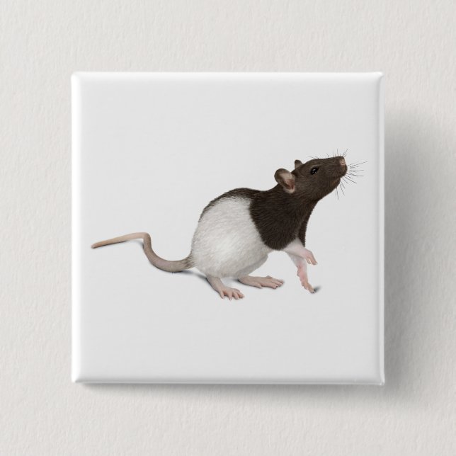 Pet Rat Painting Pinback Button (Front)