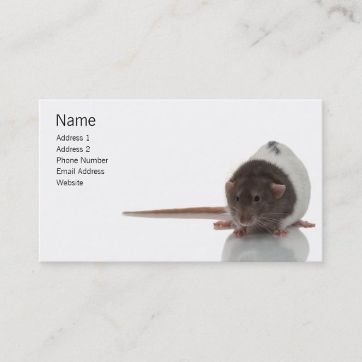 Customizable Ratty Profile Card Business Card Templates