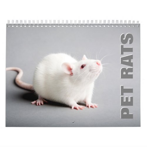 Pet Rats Wall Calendar