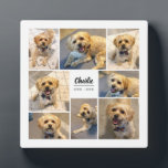 Pet Remembrance 8 Photo Personalized Plaque<br><div class="desc">As we cherish our pets deeply,  losing one can be so hard!  Lift your loved one's spirits with this modern styled photo plaque,  which features 8 photo templates,  as well as templates for the pet's name and years lived.</div>