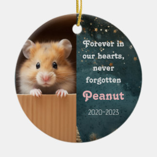 Pet Remembrance Christmas Ceramic Ornament Hamster