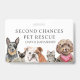 Pet Rescue Organization Name Illustrated Pets Name