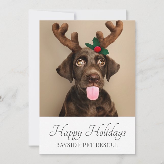 Pet Rescue Photo Christmas Holiday Card (Front)