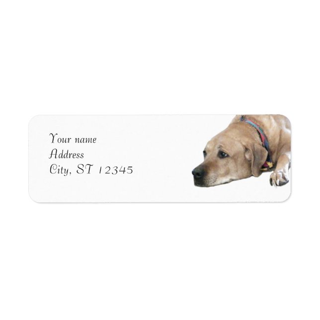 Pet Rhodesian Ridgeback Dog Picture Label (Front)