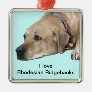 Pet Rhodesian Ridgeback Dog Picture Metal Ornament