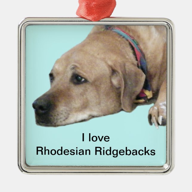 Pet Rhodesian Ridgeback Dog Picture Metal Ornament (Front)