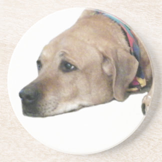 Pet Rhodesian Ridgeback Dog Picture Sandstone Coaster