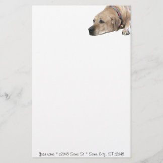 Pet Rhodesian Ridgeback Dog Picture Stationery