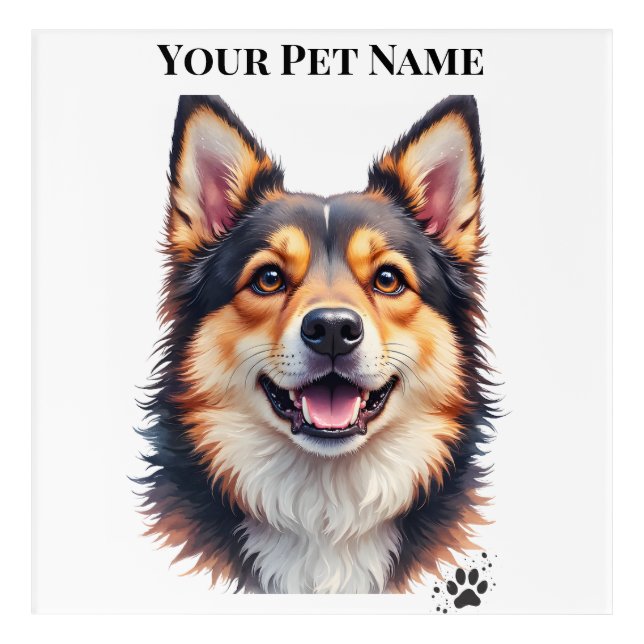 Pet’s Simple Modern Name & Photo Custom Design Acrylic Print (Front)