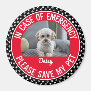 Pet Safety Alert Photo & Name Emergency Responder Magnet